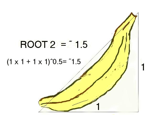 a banana is about the size of a hand